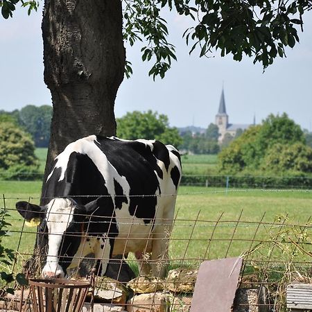 Bemelen De Traverseゲストハウス エクステリア 写真